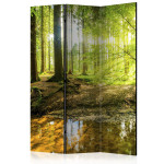 paris prix Paravent 3 Volets "Forest Lake" 135x172cm