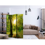 Paris Prix Paravent 3 Volets "Forest Rays" 135x172cm
