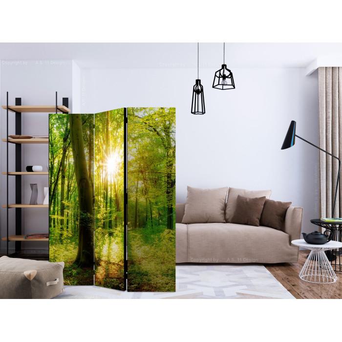 Paris Prix Paravent 3 Volets "Forest Rays" 135x172cm