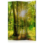 paris prix Paravent 3 Volets "Forest Rays" 135x172cm
