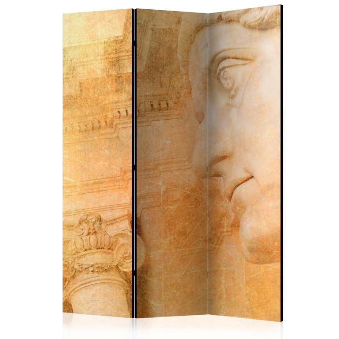 Paris Prix Paravent 3 Volets "Greek God" 135x172cm