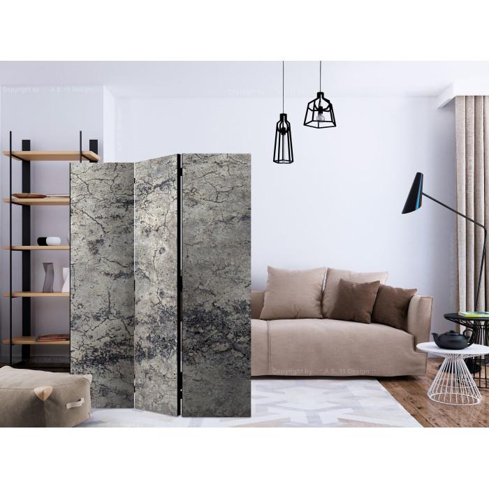 Paris Prix Paravent 3 Volets "Grey Lady" 135x172cm