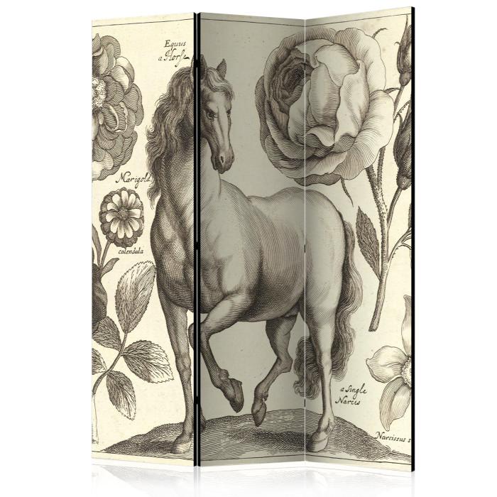 Paris Prix Paravent 3 Volets "Horse" 135x172cm