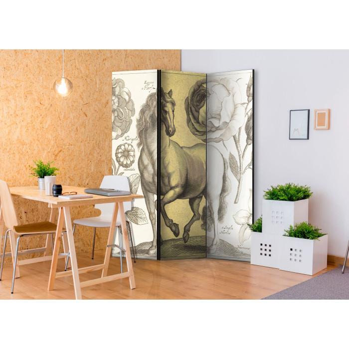 Paris Prix Paravent 3 Volets "Horse" 135x172cm