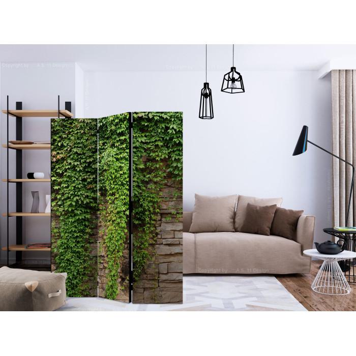Paris Prix Paravent 3 Volets "Ivy Wall" 135x172cm