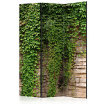 paris prix Paravent 3 Volets "Ivy Wall" 135x172cm