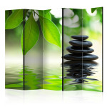 paris prix Paravent 5 Volets "Calm" 172x225cm