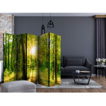 Paris Prix Paravent 5 Volets "Forest Rays" 172x225cm