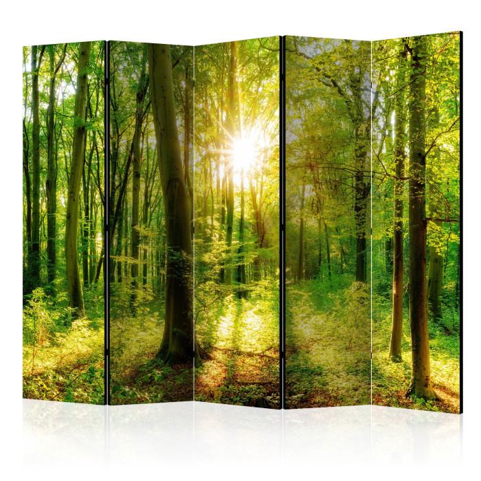 Paris Prix Paravent 5 Volets "Forest Rays" 172x225cm