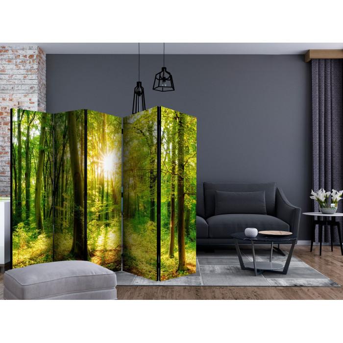Paris Prix Paravent 5 Volets "Forest Rays" 172x225cm