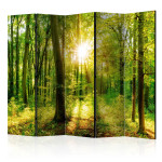 paris prix Paravent 5 Volets "Forest Rays" 172x225cm