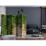 Paris Prix Paravent 5 Volets "Ivy Wall" 172x225cm