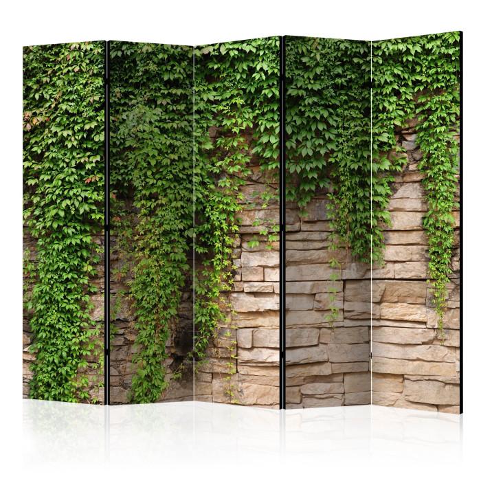 Paris Prix Paravent 5 Volets "Ivy Wall" 172x225cm