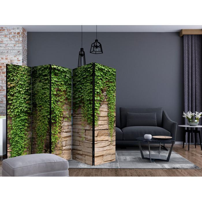 Paris Prix Paravent 5 Volets "Ivy Wall" 172x225cm