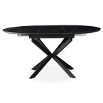 Paris Prix Table à Manger Céramique Extensible "Belli" 160cm Noir