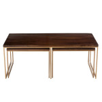 Paris Prix Table Basse 3 Parties Design "Rafi" 120cm Marron