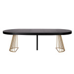 Paris Prix Table De Repas Extensible "Resoa" 110-260cm Noir