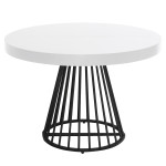 paris prix Table de Repas Extensible "Virginia" 110-260cm Blanc