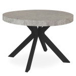 paris prix Table Ronde Extensible "Zefane" 160-260cm Noir & Gris