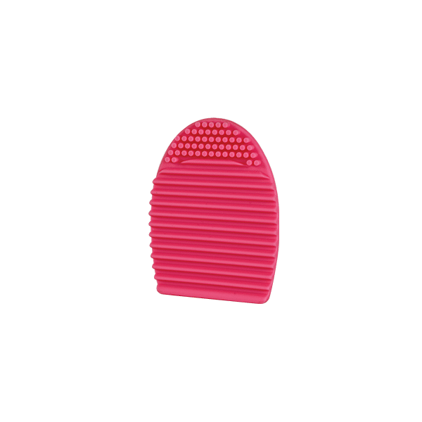 Parisax Brosse Nettoyante