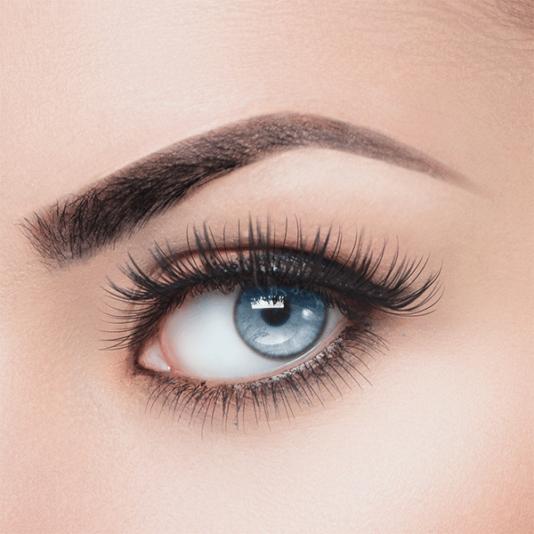 Parisax Feutre Sourcils Universel