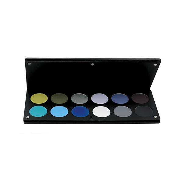 parisax Palette de 12 Fards tons froid