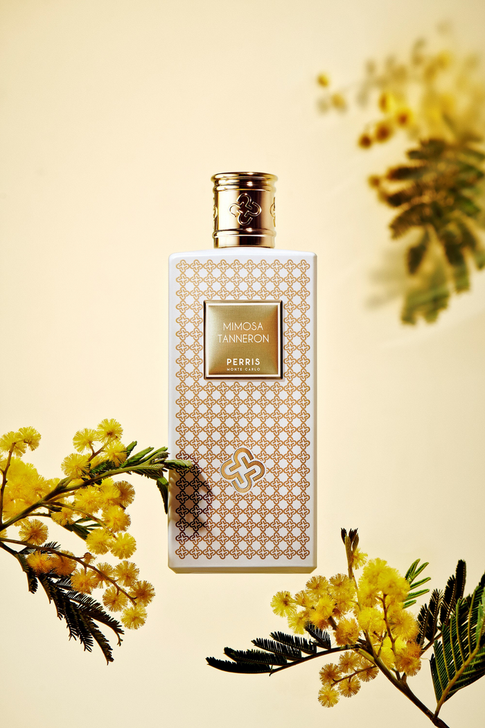 Perris Monte Carlo Mimosa Tanneron