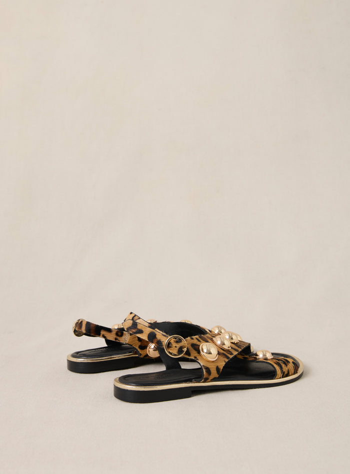 Petite Mendigote Coberts - Sandales Léopard En Cuir Et Rivets
