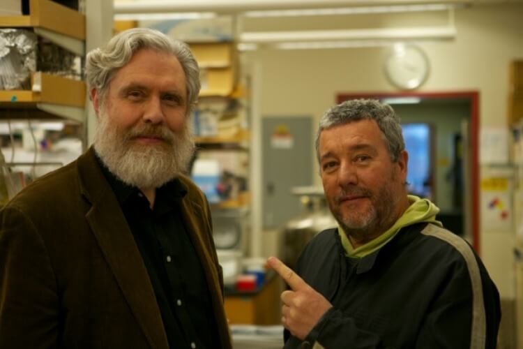 Philippe Starck "Futur Par Starck" - ARTE - Bande Annonce