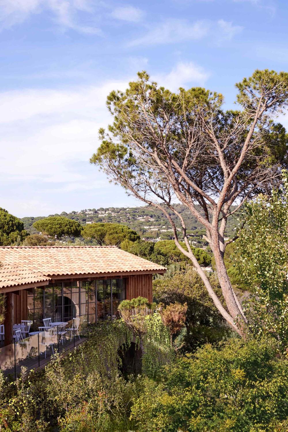 Philippe Starck Lily Of The Valley La Croix Valmer
