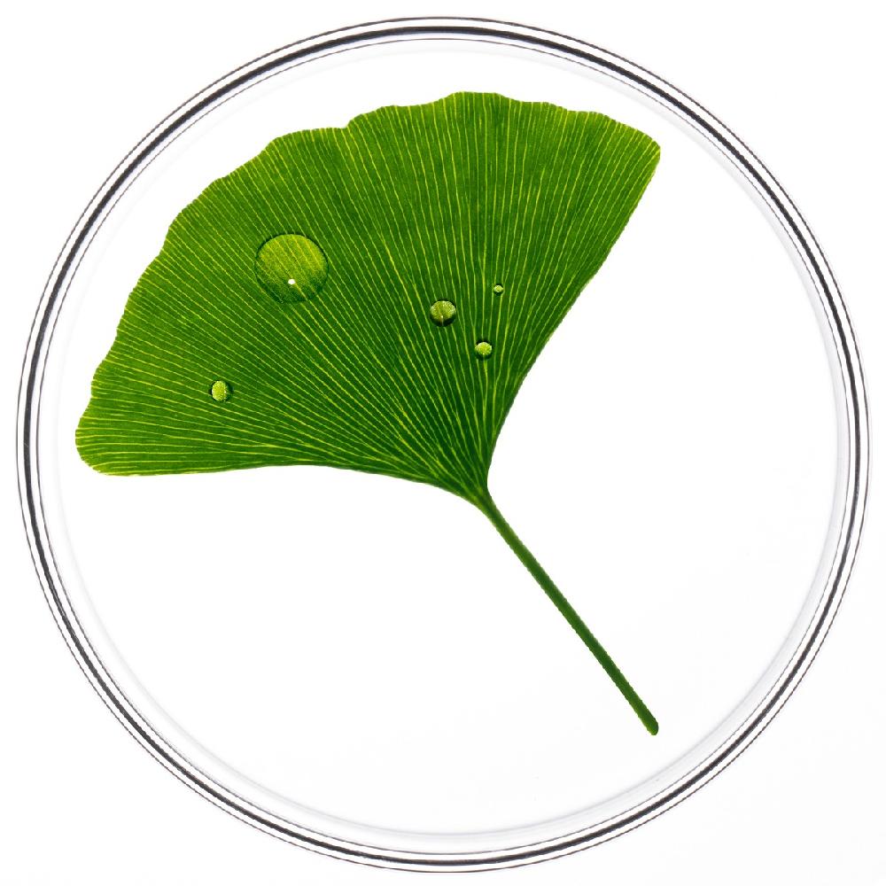 Phyto PHYTOCYANETRAITEMENT ANTICHUTE FEMME