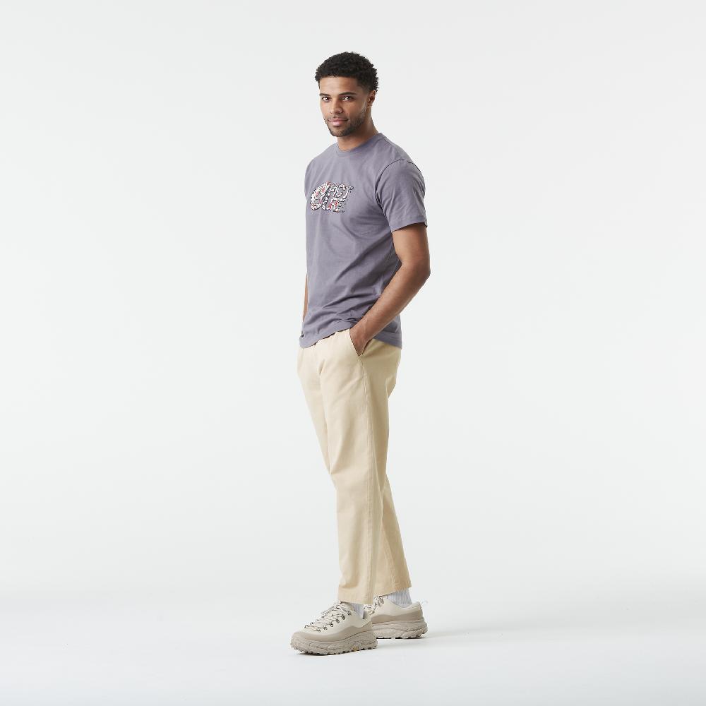 Picture BASEMENT ASTER T