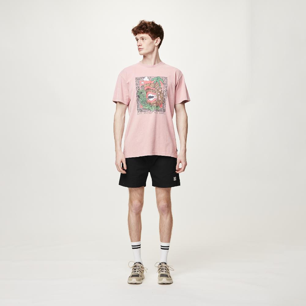 picture DAVERSON SHORTS