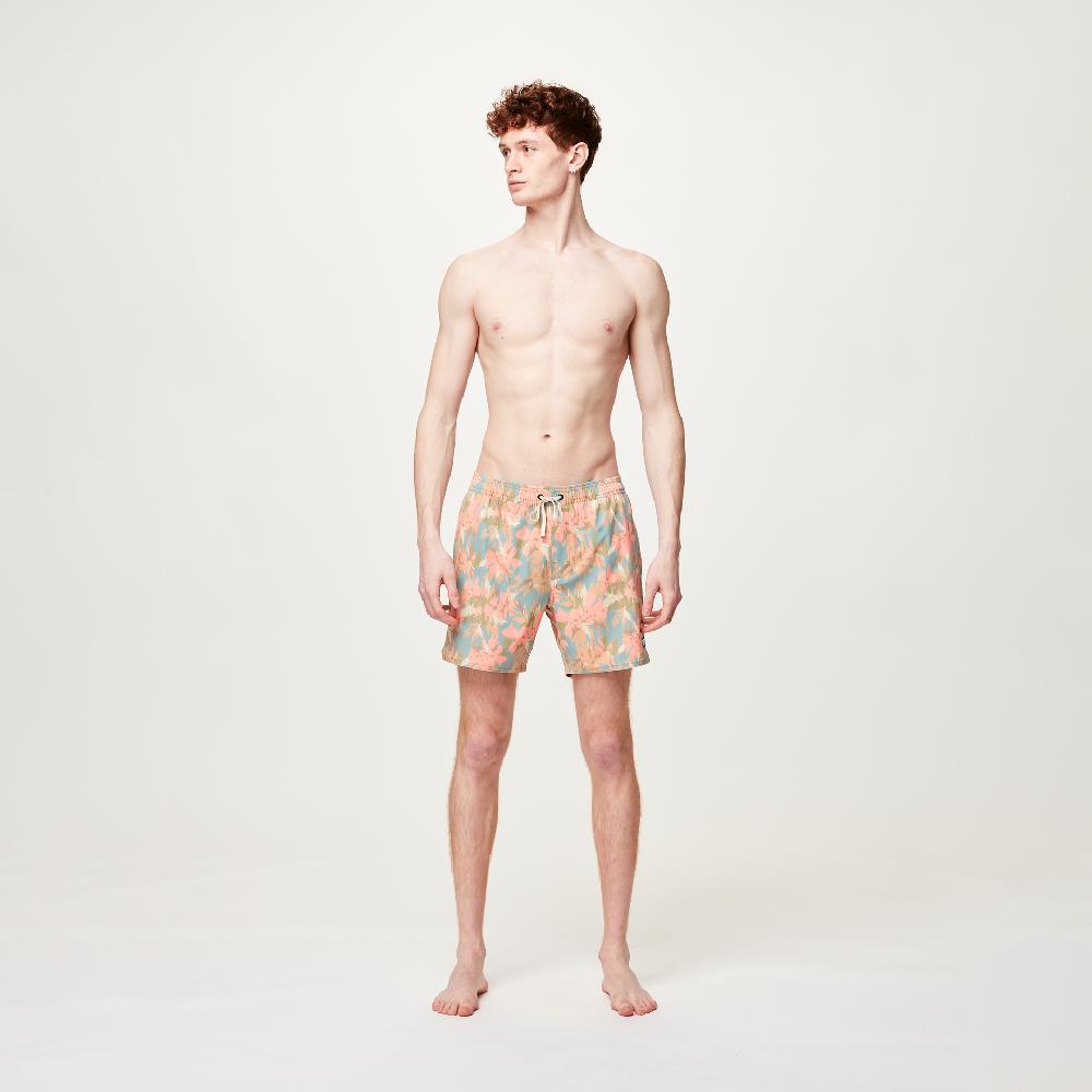 Picture PIAU 15 BRDS