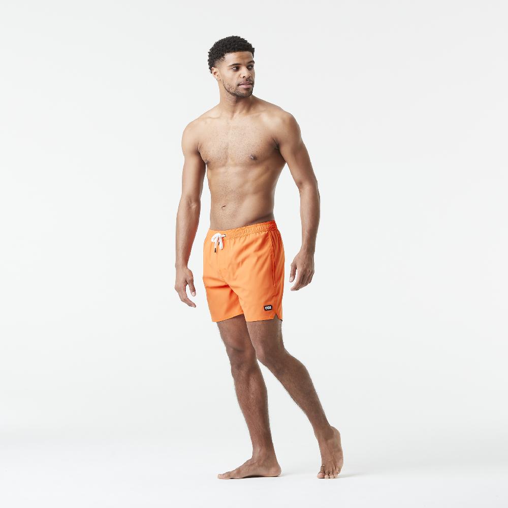 picture PIAU 15 BRDS