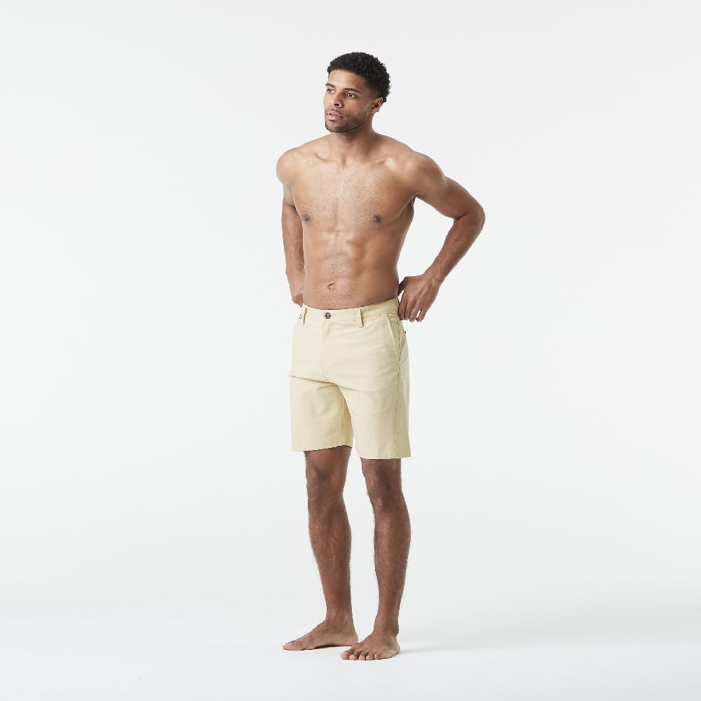 Picture PODAR HYBRID 19 BRDS