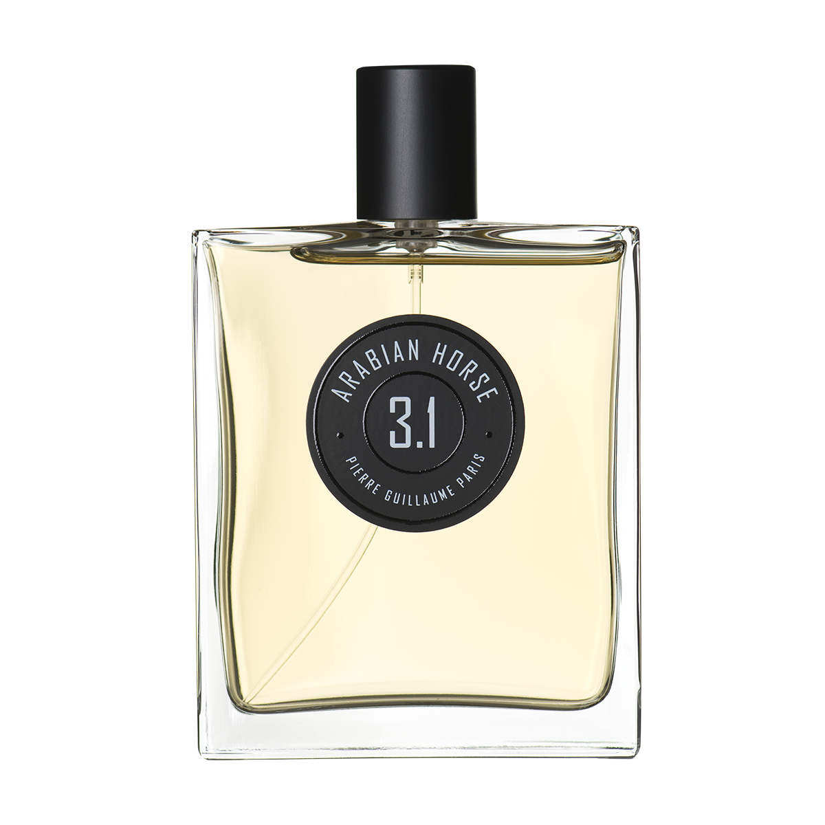 pierre guillaume paris 03.1 ARABIAN HORSE