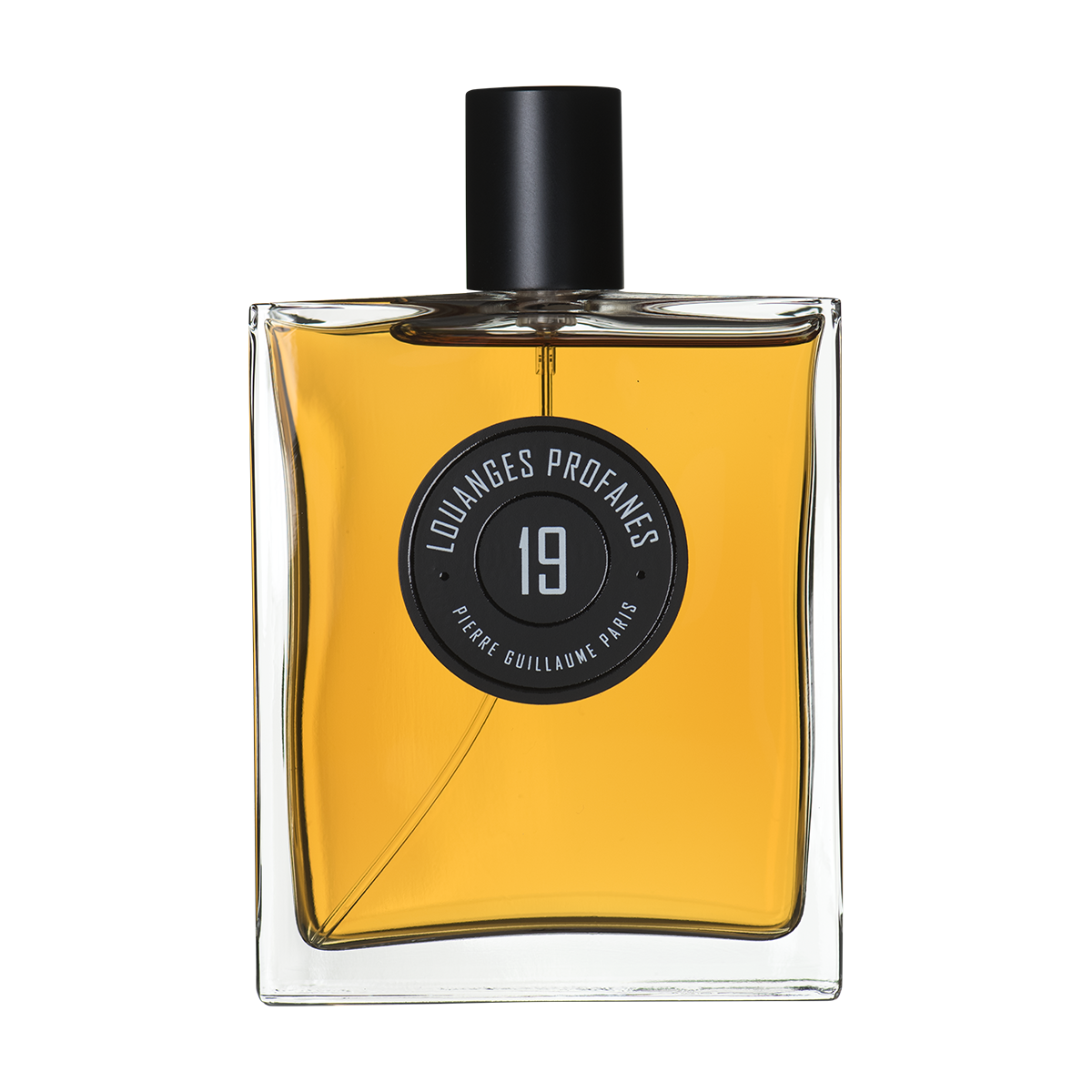 pierre guillaume paris 19 LOUANGES PROFANES