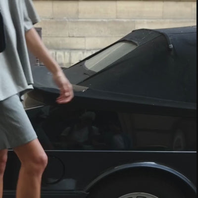Pierre Hardy SAC À MAIN ALPHA MAXI Cuir D'agneau Bordeaux & Noir