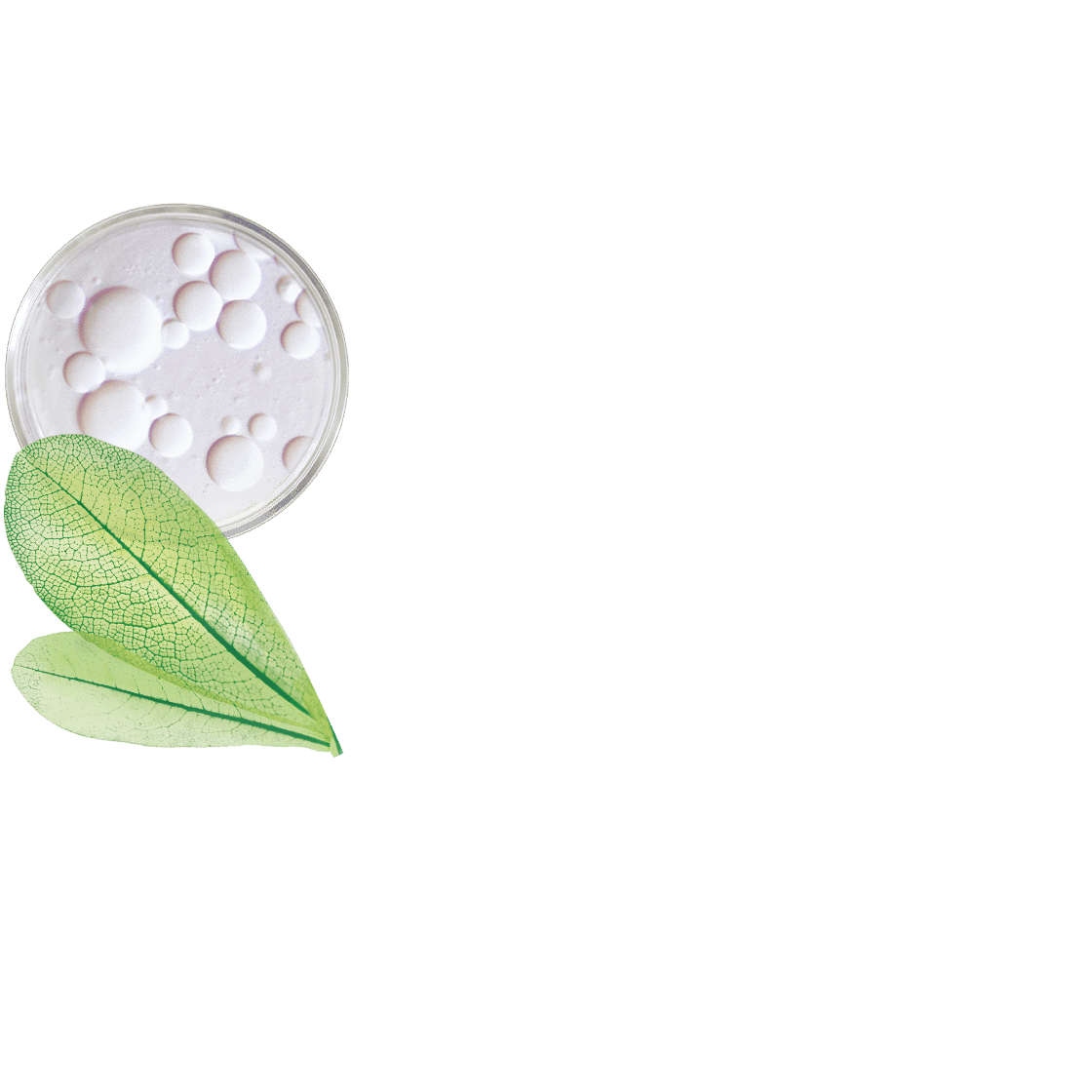 pierre ricaud Baume corps nourrissant et relipidant