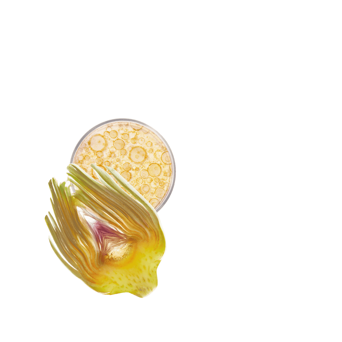 pierre ricaud Contour yeux & booster cils revitalisant