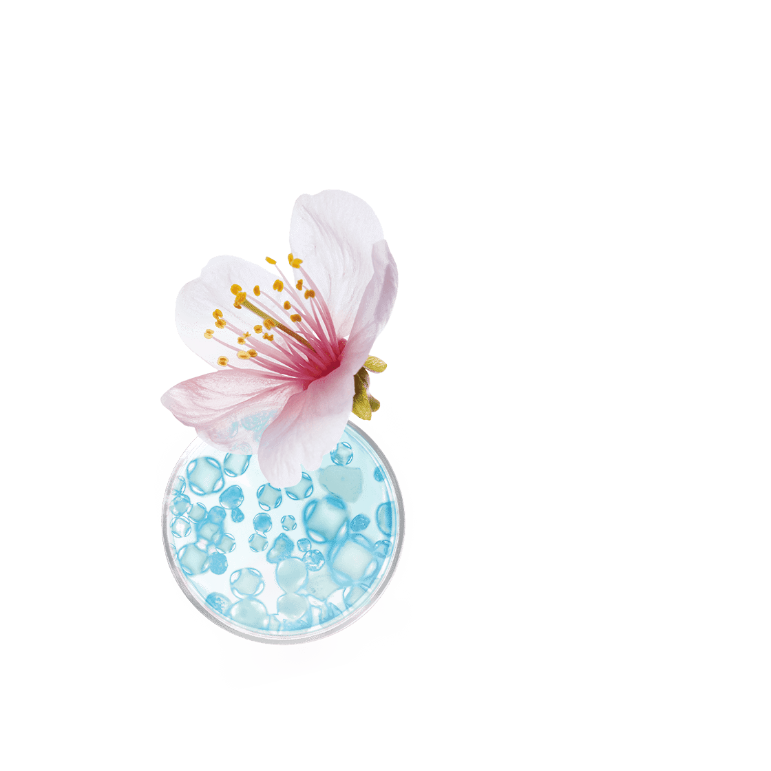 pierre ricaud Contour yeux défroisseur lissant hydratant