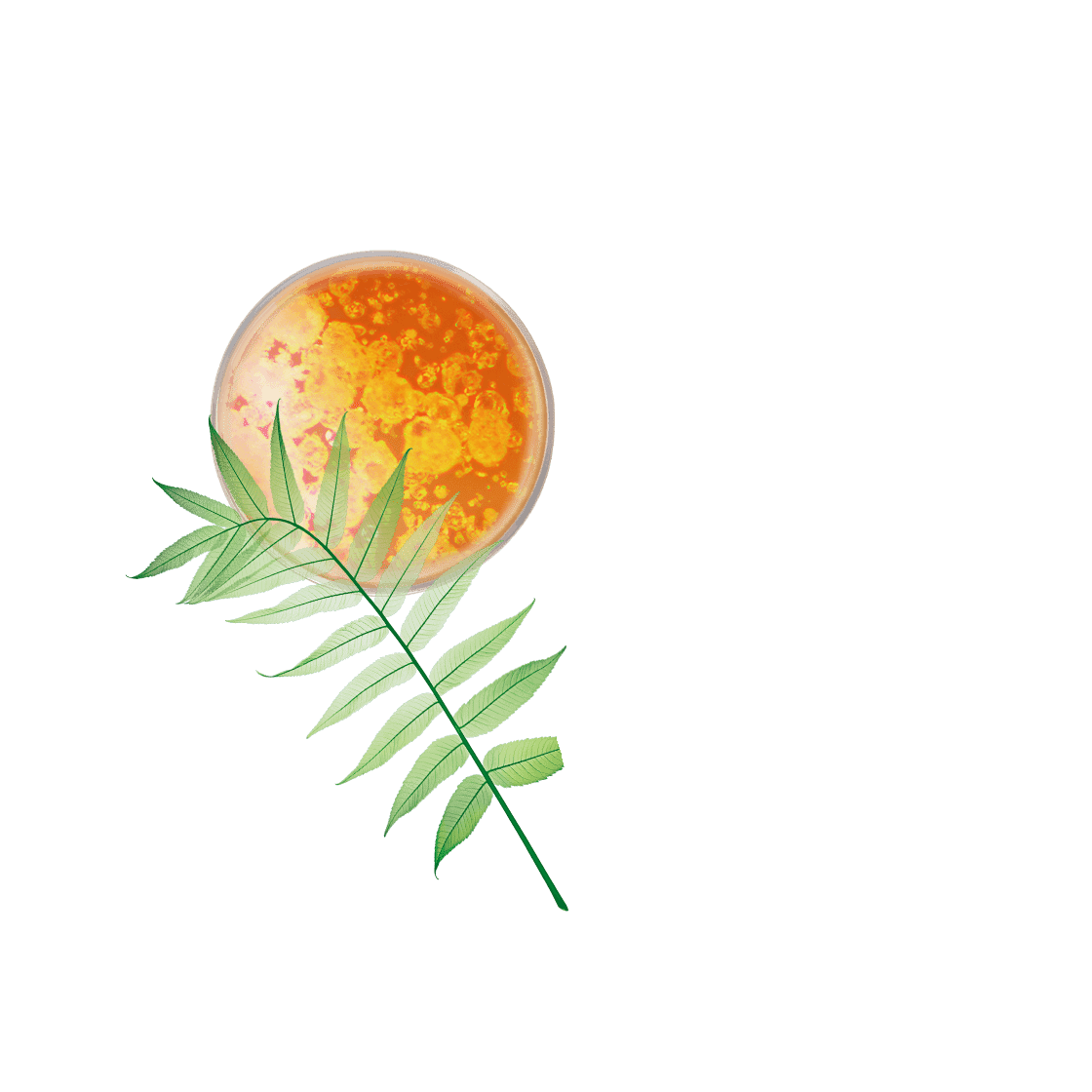 pierre ricaud Contour yeux glow éclat lissage uniformisation