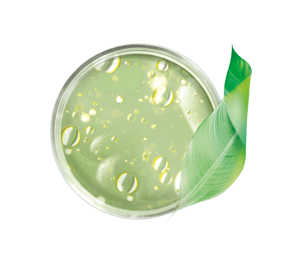 Pierre Ricaud Crème Fluide Anti-rides & Anti-imperfections