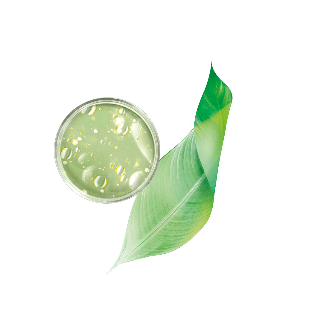 pierre ricaud Crème fluide anti-rides & anti-imperfections