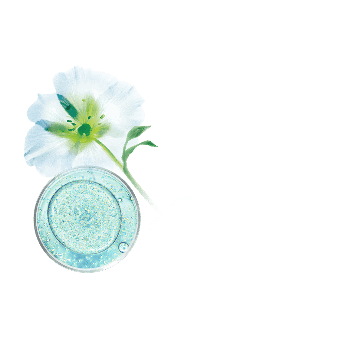 pierre ricaud Crème réhydratante 24h anti-pollution