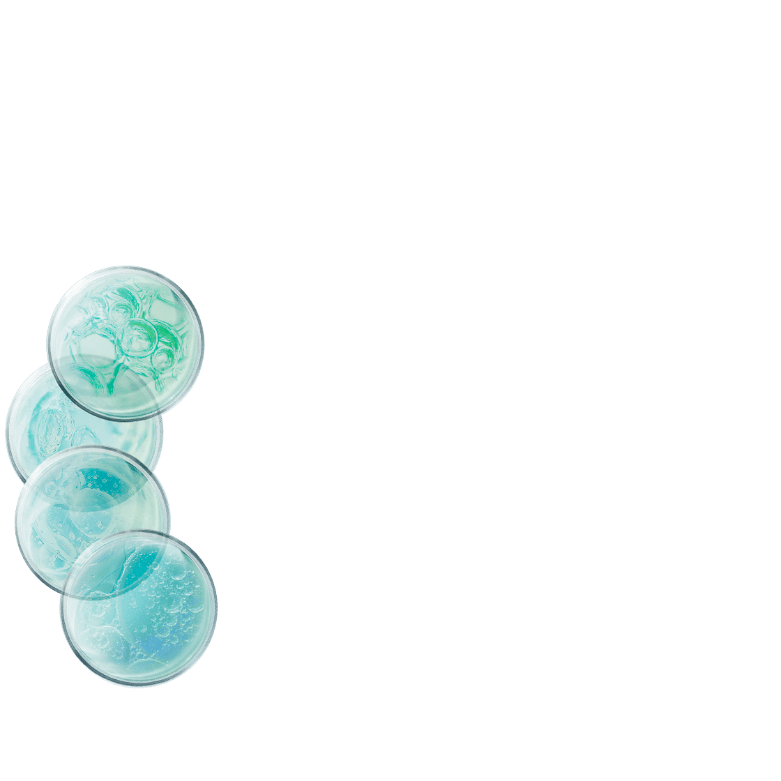 pierre ricaud Cure intensive concentrée 4 acides hyaluroniques