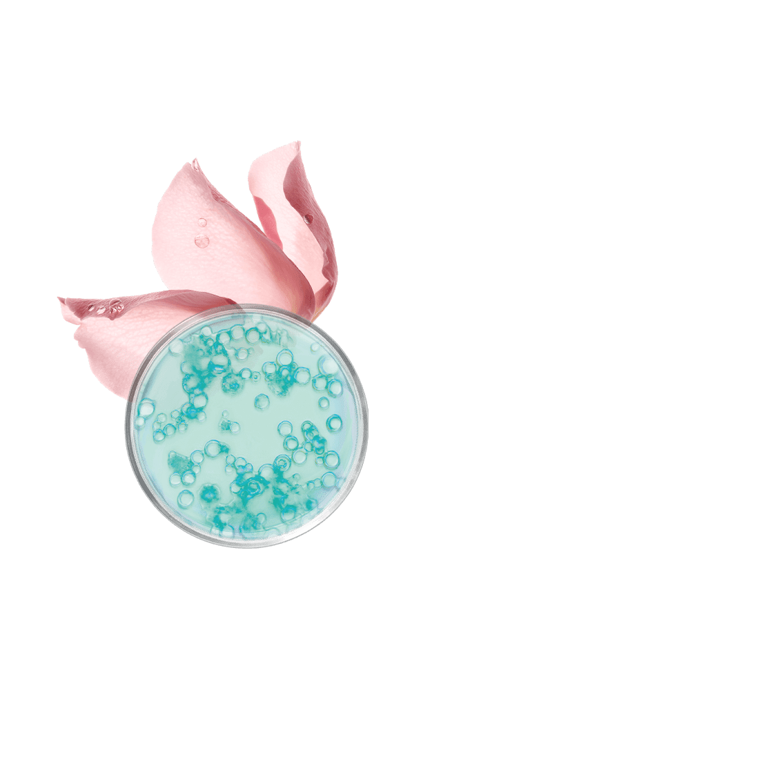 pierre ricaud Eau micellaire démaquillante visage yeux & lèvres