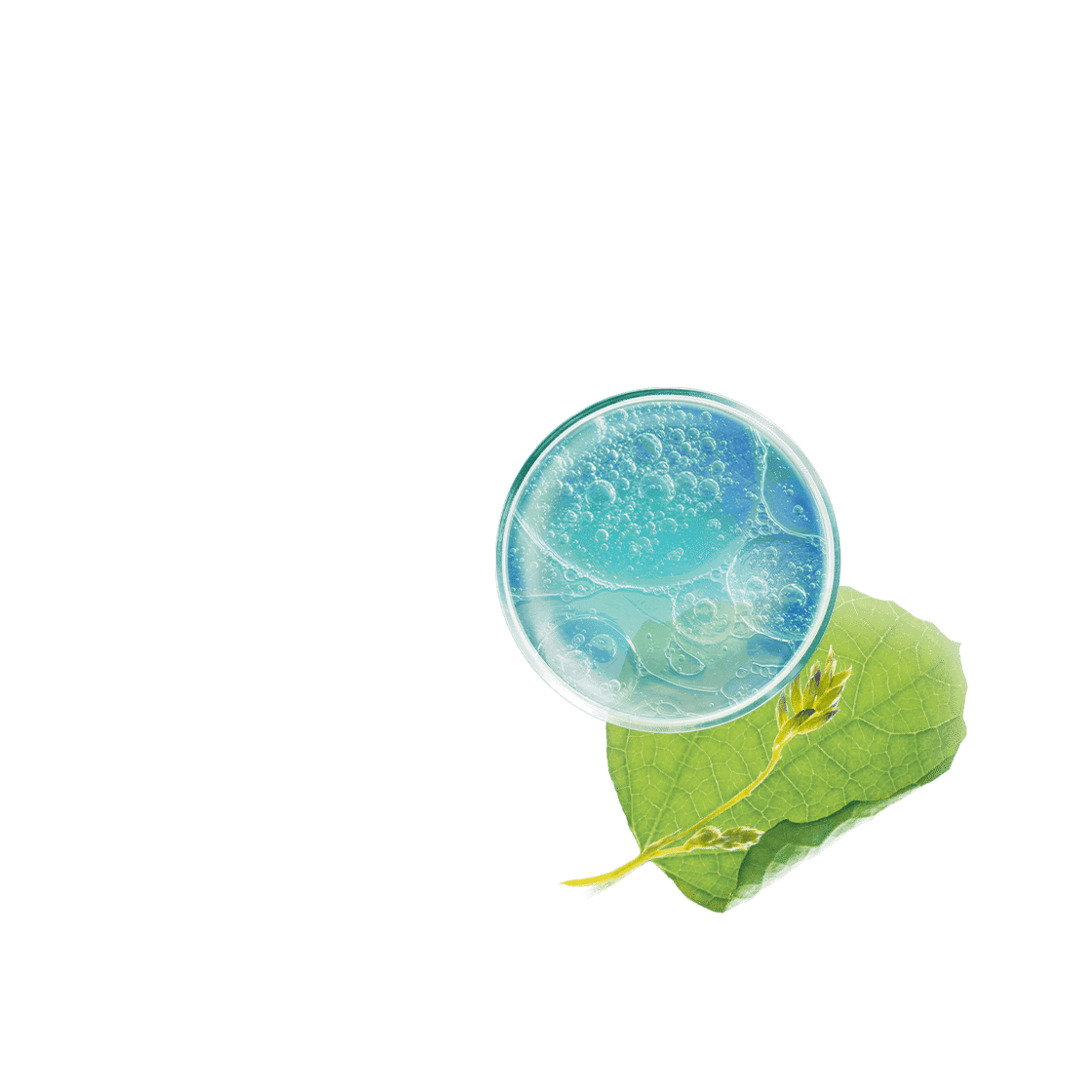 pierre ricaud Elixir bi-phase anti-rides multi-zones