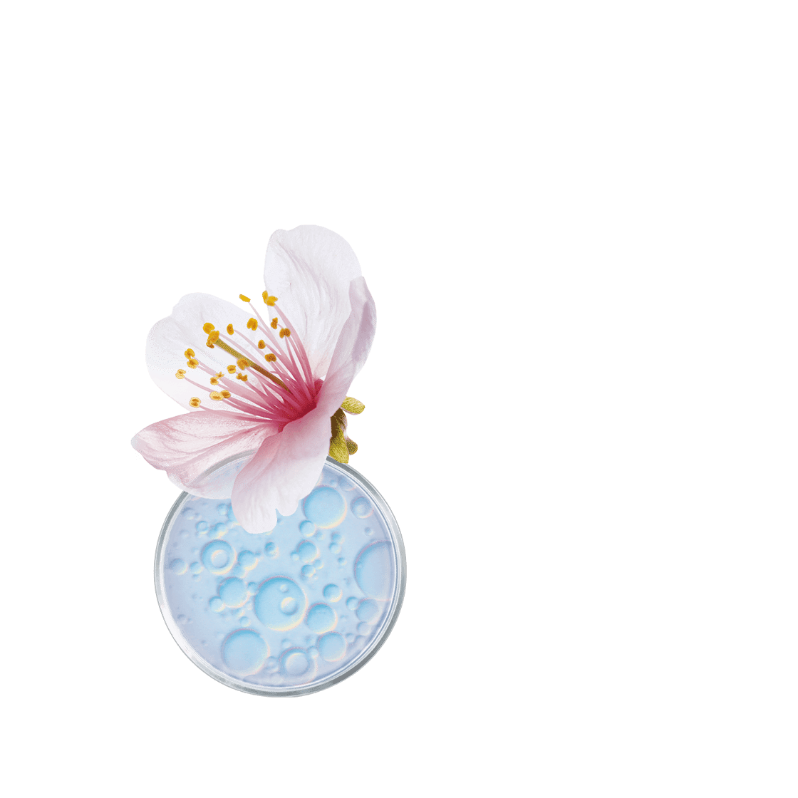 pierre ricaud Fluide défroisseur lissant et hydratant